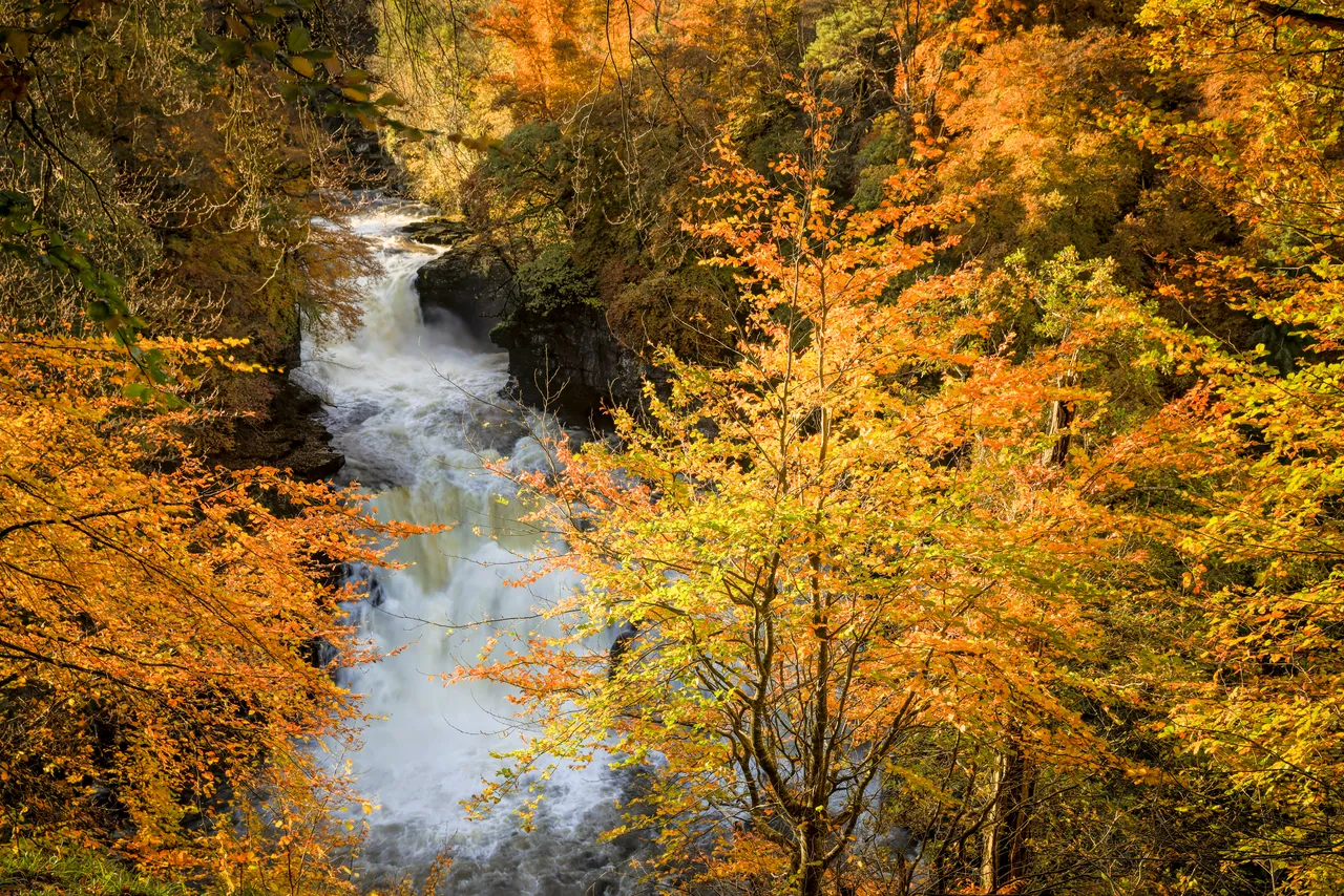 The Falls of Clyde Wildlife Reserve