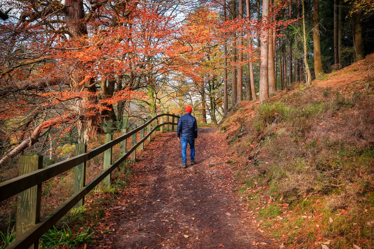 The Falls of Clyde Wildlife Reserve