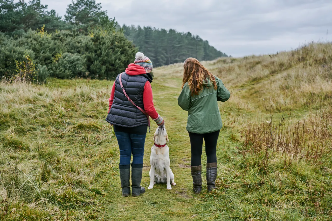 Tentsmuir Forest