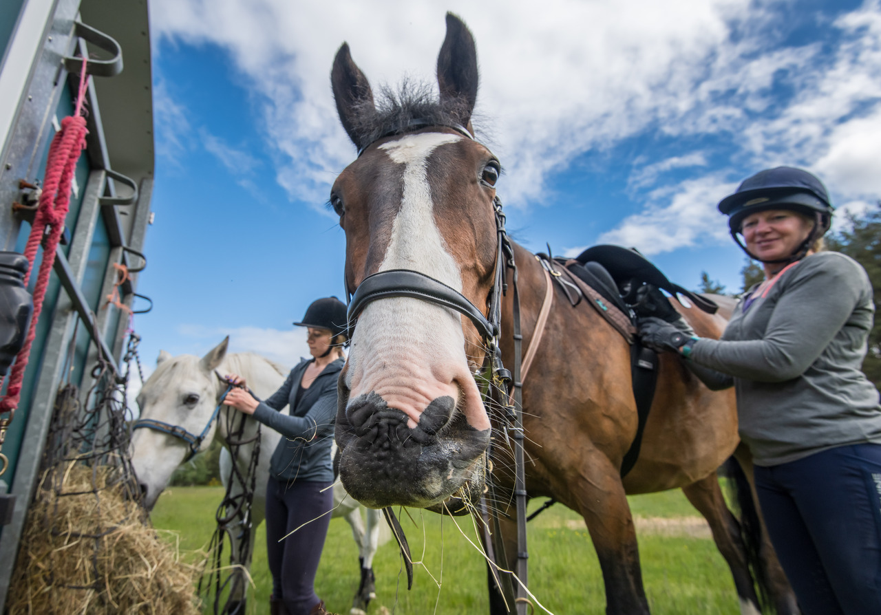 Horse Riding, Responsibly in Scotland