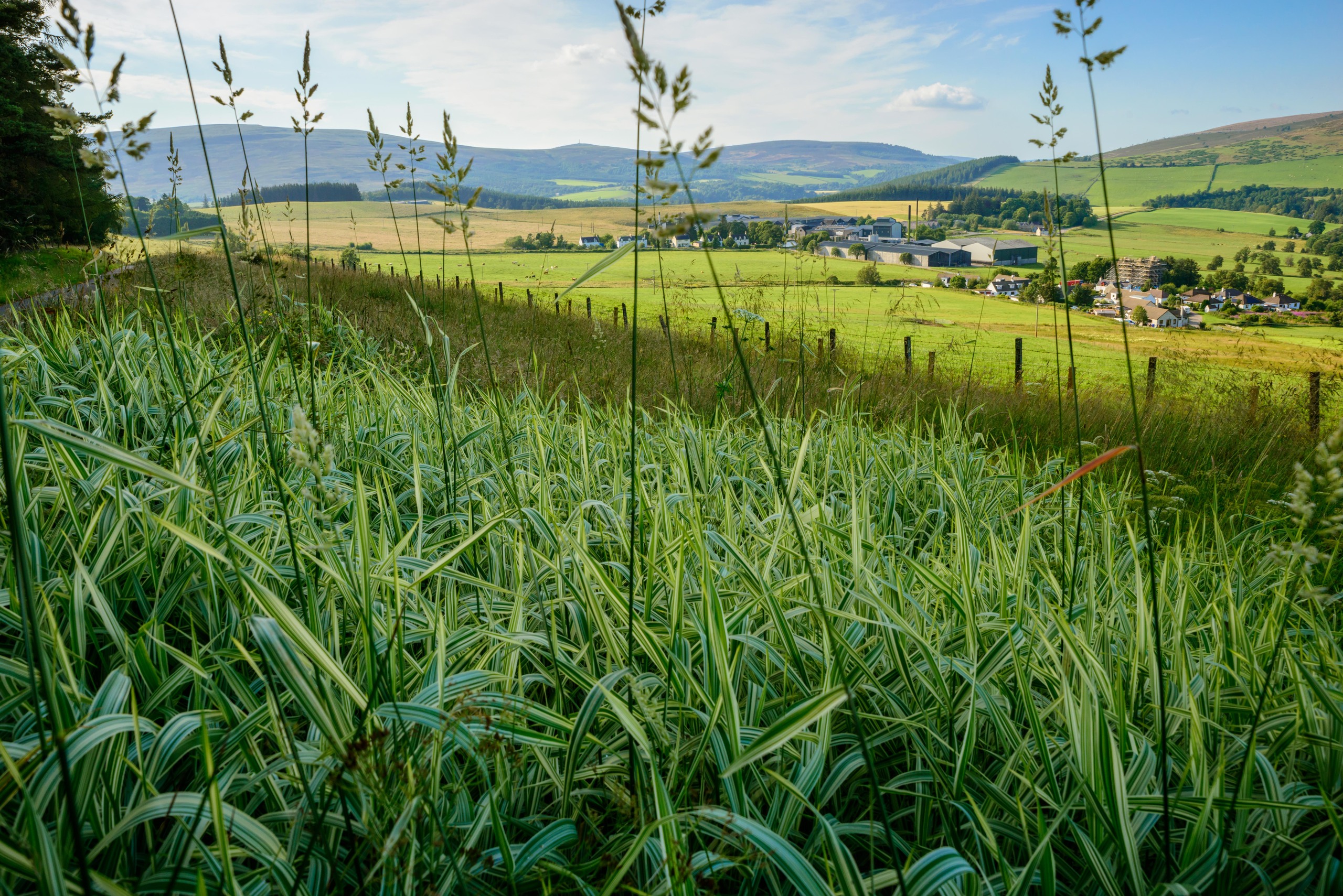 Glenlivet distillery and estate