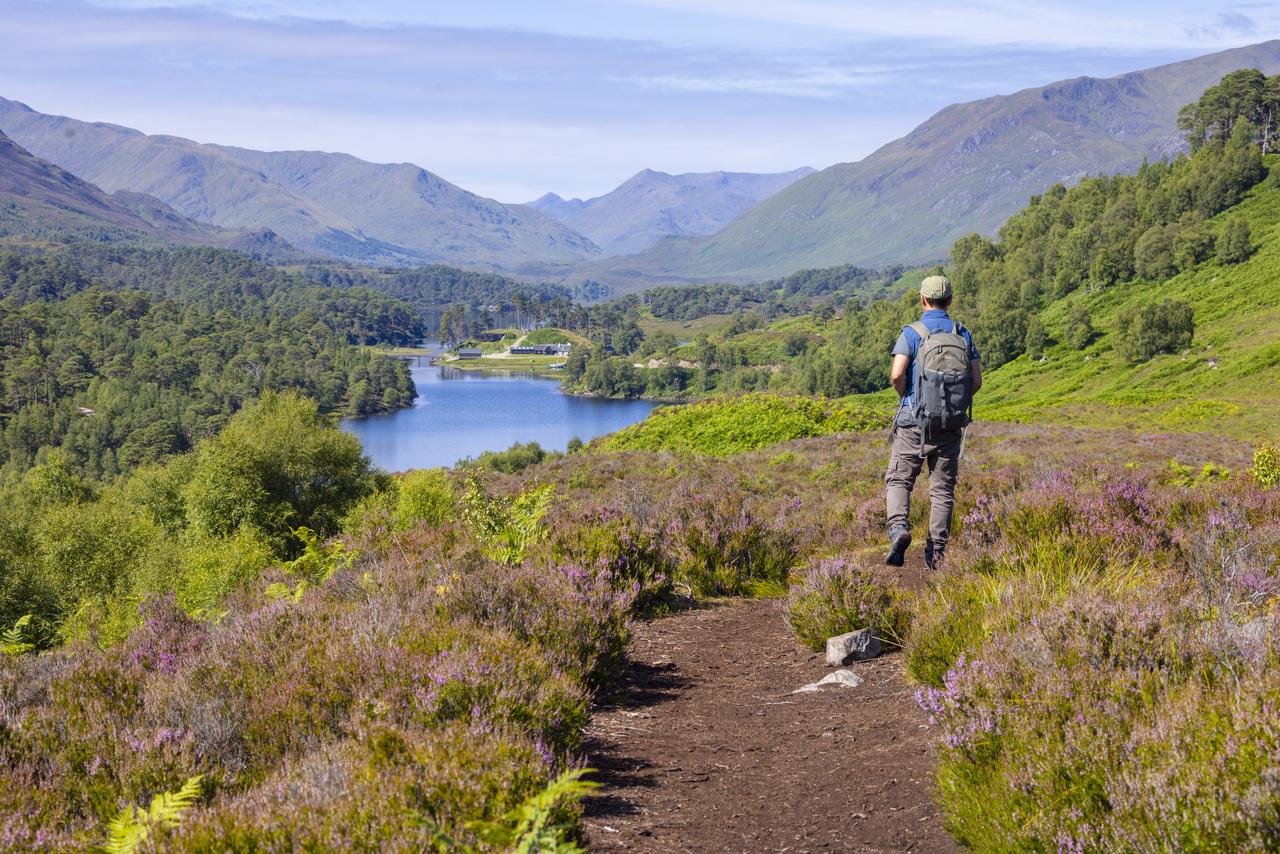 Loch Affric Viewpoint