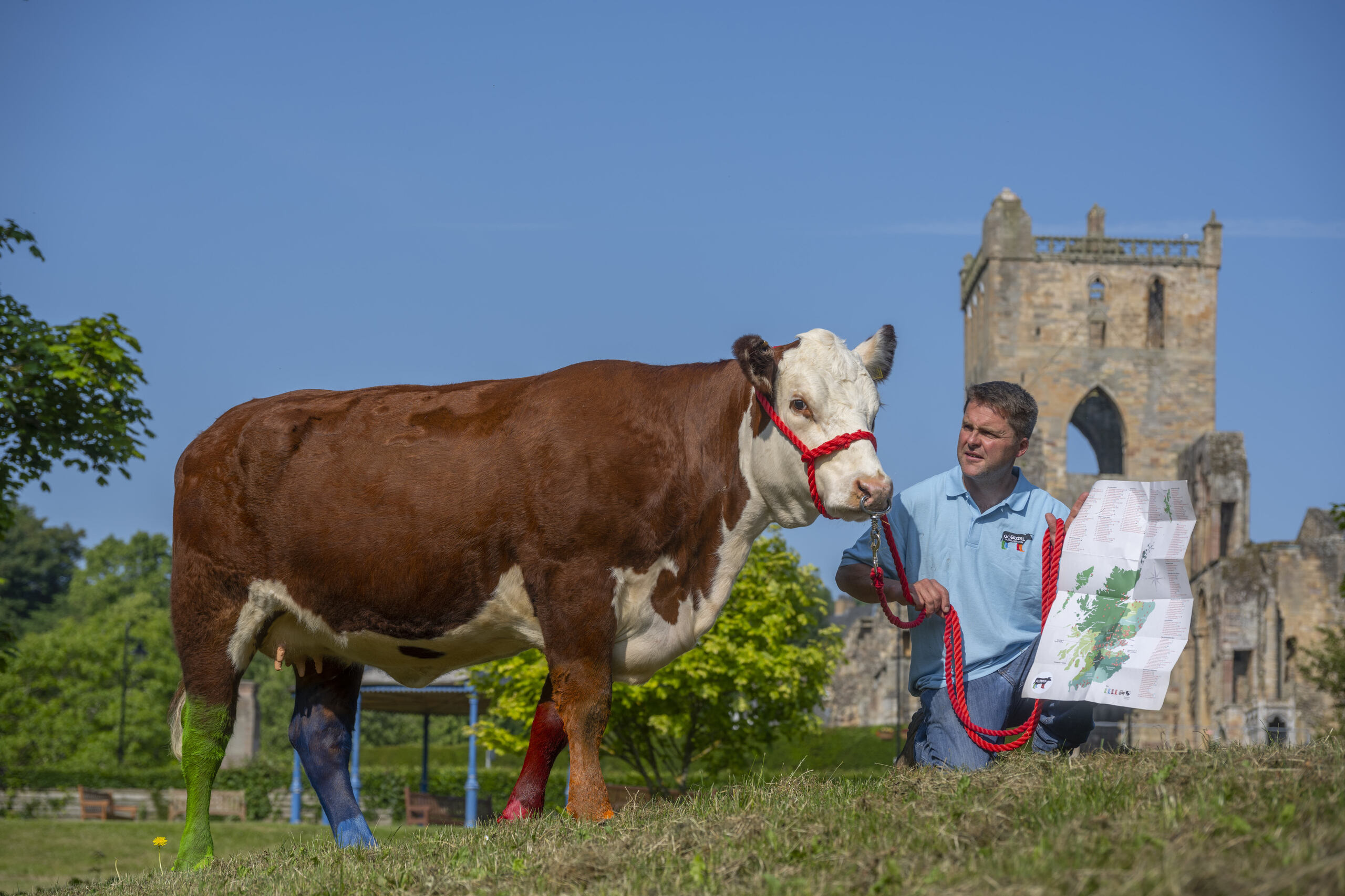 Go Rural Map of Scotland launches in VisitScotland iCentres