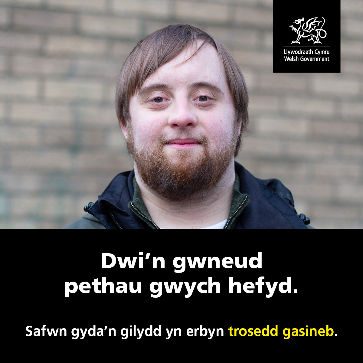 Disability welsh facebook 002