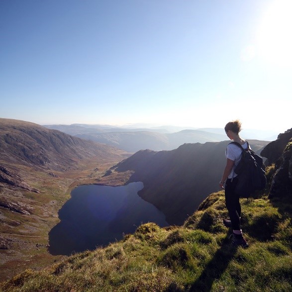 Welsh Language Guidance campaign hero image